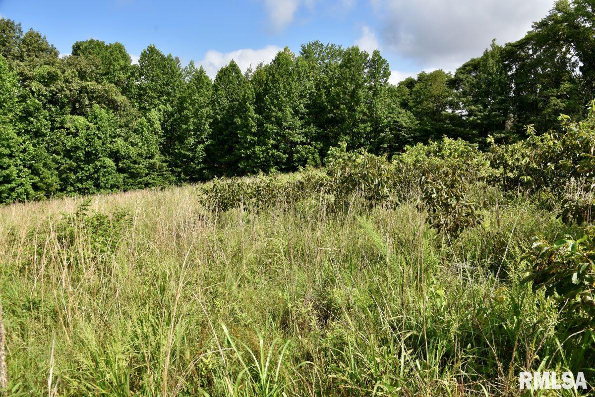 755 Mt Pleasant Road Buncombe, IL 62912 - Photo 27 of 40