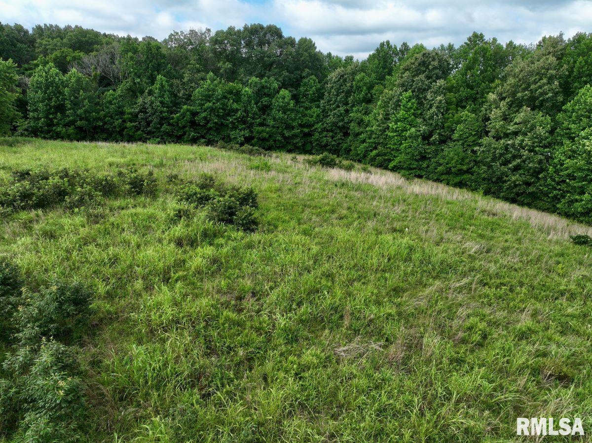 755 Mt Pleasant Road Buncombe, IL 62912 - Photo 28 of 40
