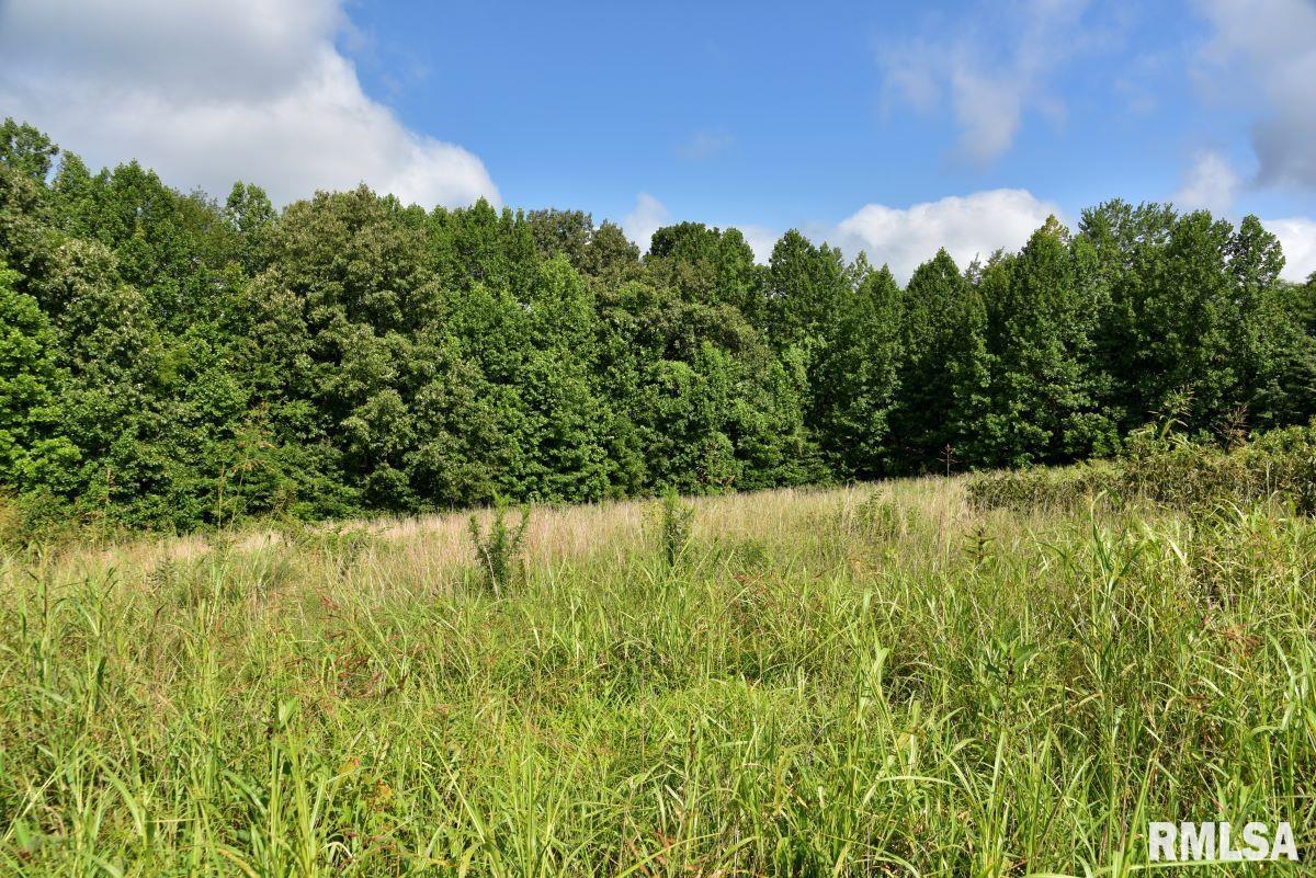 755 Mt Pleasant Road Buncombe, IL 62912 - Photo 29 of 40