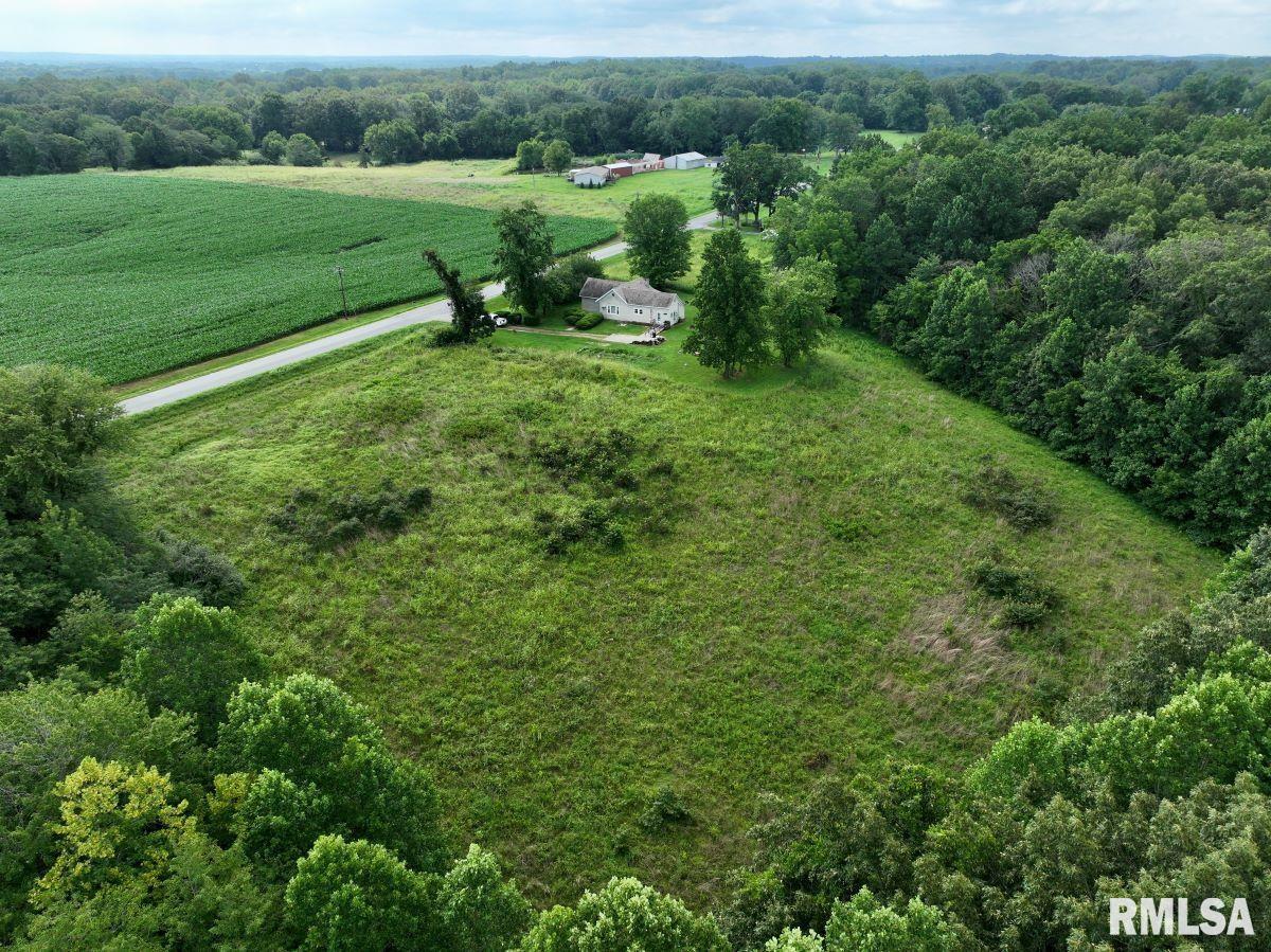 755 Mt Pleasant Road Buncombe, IL 62912 - Photo 30 of 40