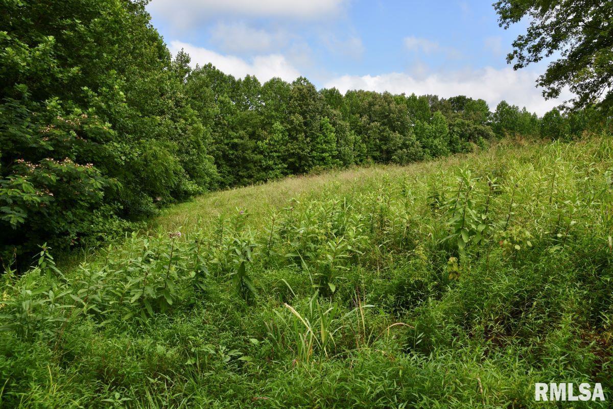 755 Mt Pleasant Road Buncombe, IL 62912 - Photo 31 of 40