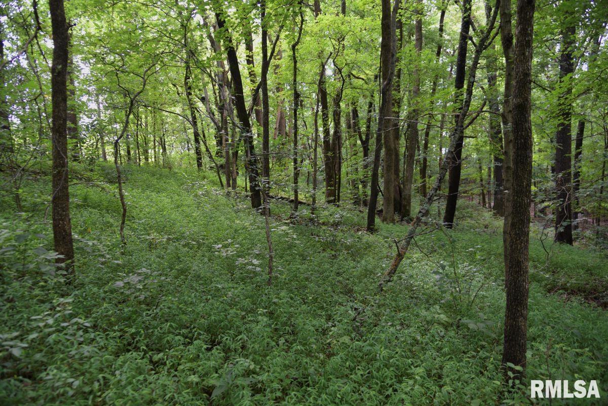 755 Mt Pleasant Road Buncombe, IL 62912 - Photo 33 of 40