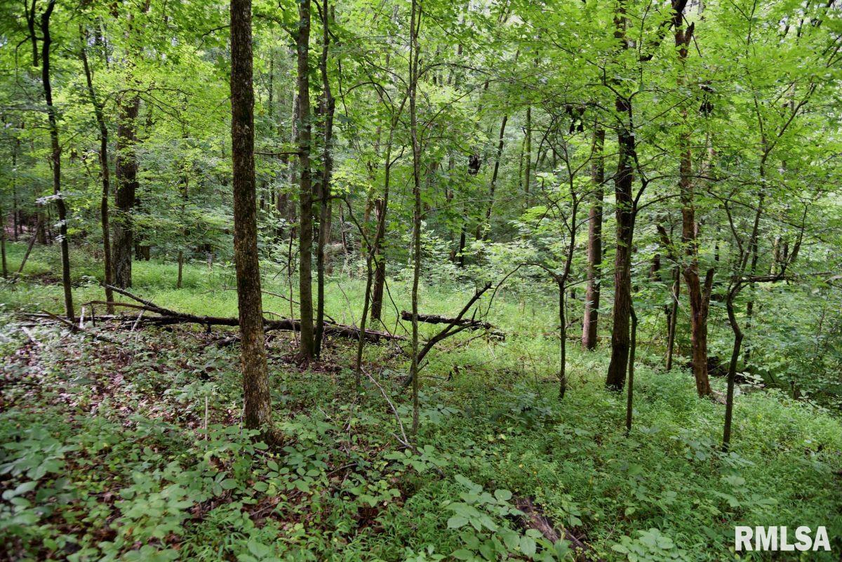 755 Mt Pleasant Road Buncombe, IL 62912 - Photo 36 of 40