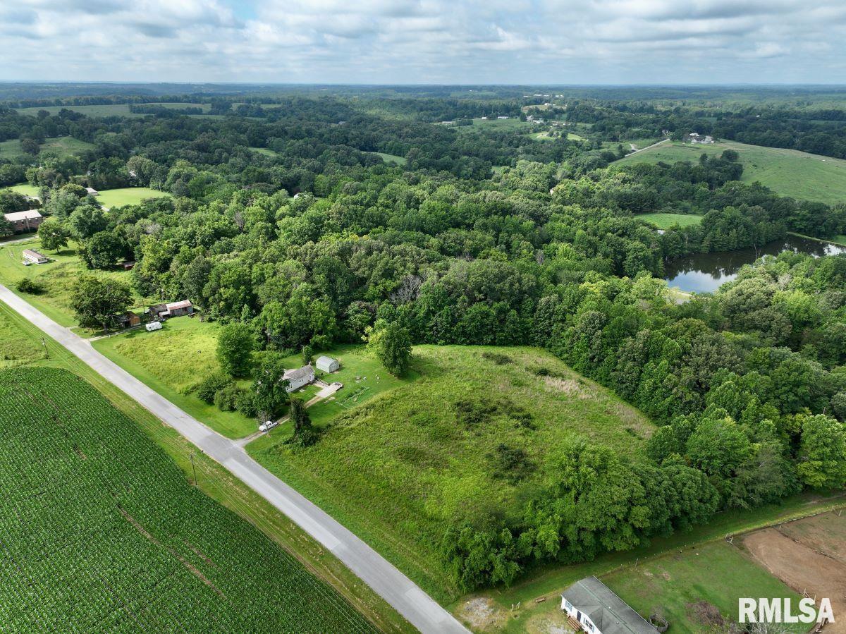 755 Mt Pleasant Road Buncombe, IL 62912 - Photo 38 of 40