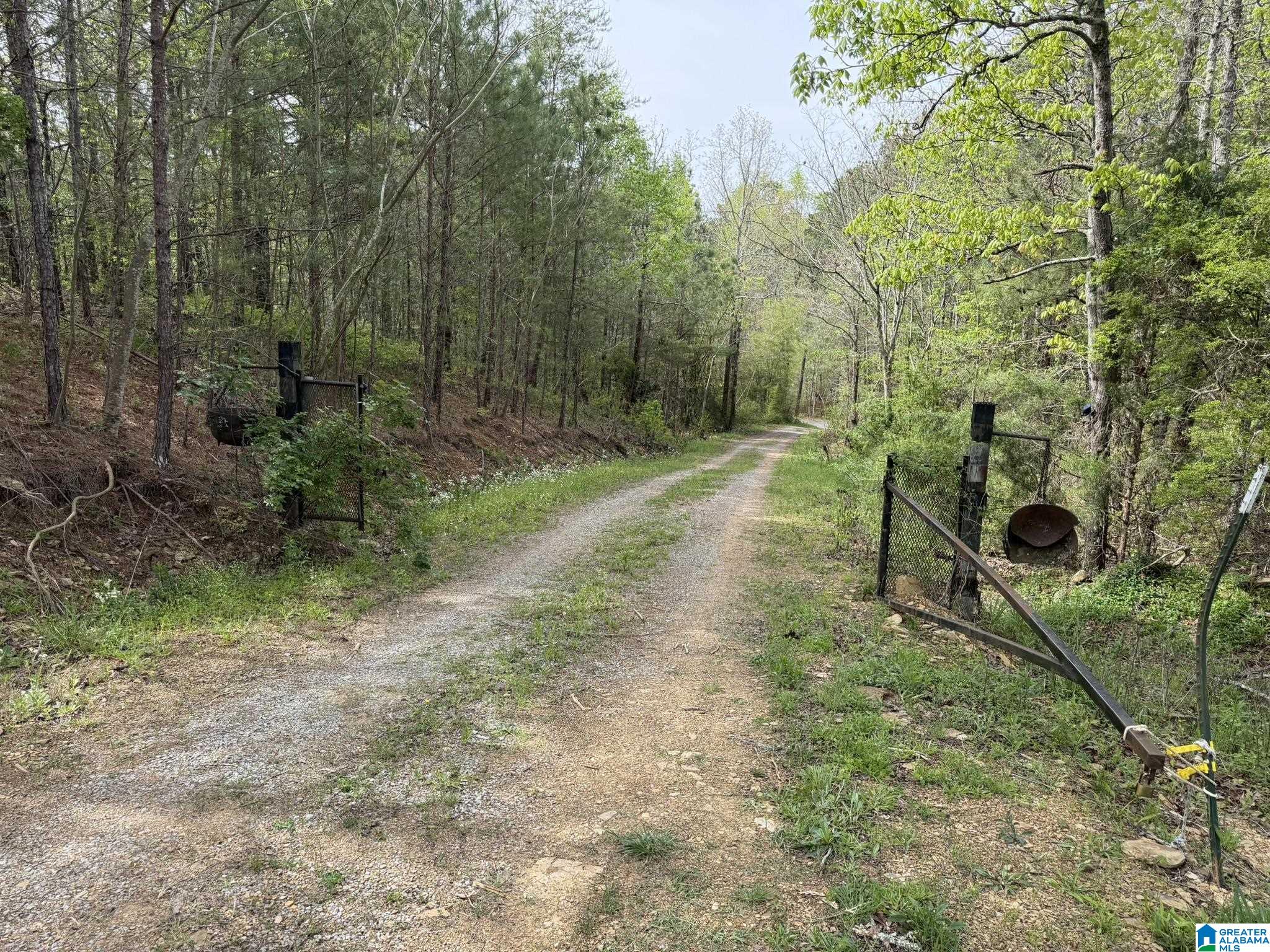 2121 Center Hill Road Trafford, AL 35172 - Photo 71 of 100