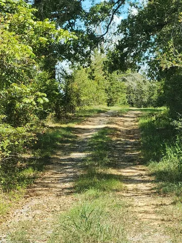 $199,000 | 17454 Fm 542, Oakwood, TX 75855