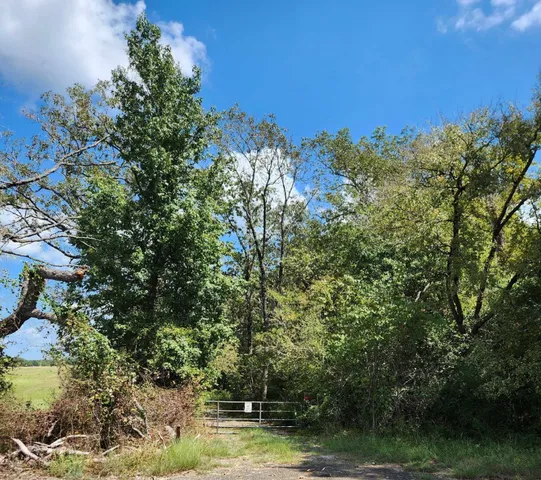 $199,000 | 17454 Fm 542, Oakwood, TX 75855