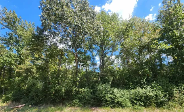 $199,000 | 17454 Fm 542, Oakwood, TX 75855