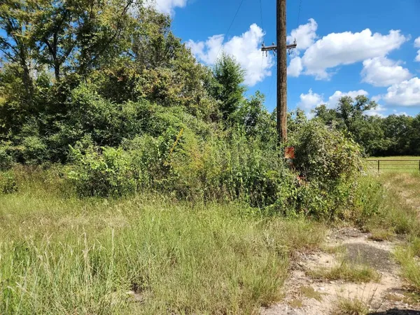 $199,000 | 17454 Fm 542, Oakwood, TX 75855