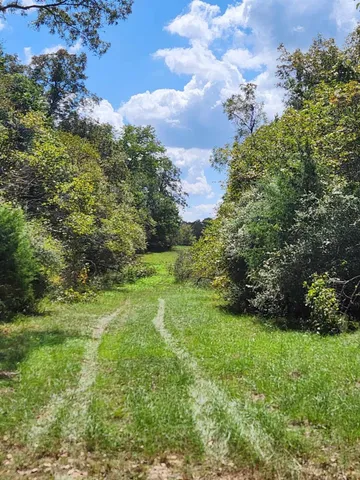 $199,000 | 17454 Fm 542, Oakwood, TX 75855