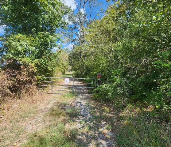 $199,000 | 17454 Fm 542, Oakwood, TX 75855