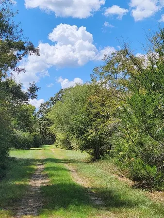 $199,000 | 17454 Fm 542, Oakwood, TX 75855