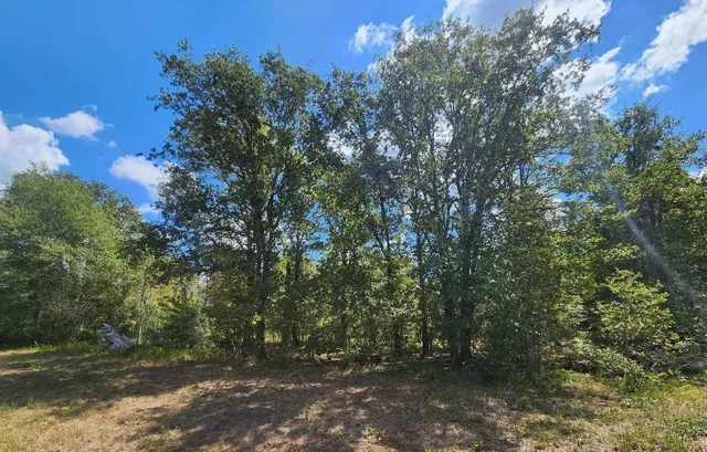 $199,000 | 17454 Fm 542, Oakwood, TX 75855