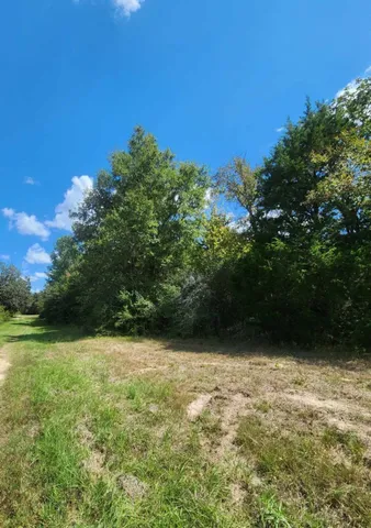 $199,000 | 17454 Fm 542, Oakwood, TX 75855