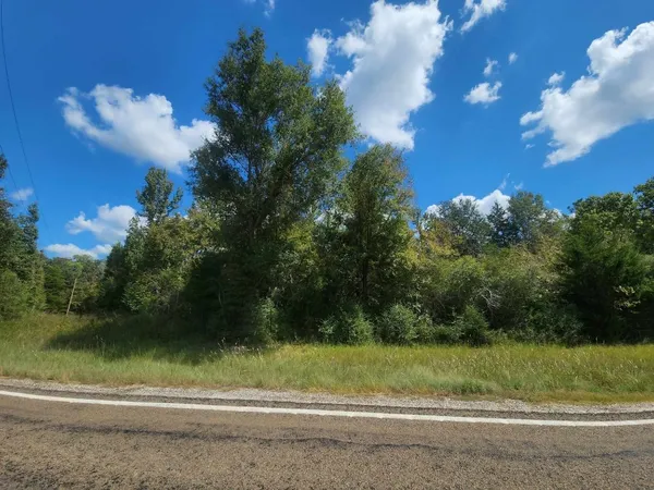 $199,000 | 17454 Fm 542, Oakwood, TX 75855