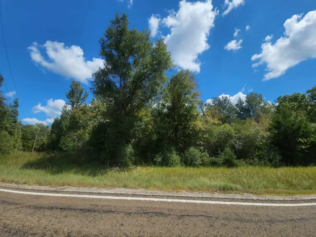 $199,000 | 17454 Fm 542, Oakwood, TX 75855