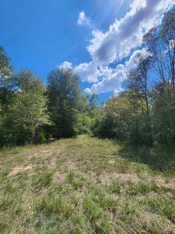 $199,000 | 17454 Fm 542, Oakwood, TX 75855