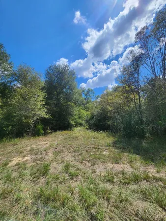 $199,000 | 17454 Fm 542, Oakwood, TX 75855