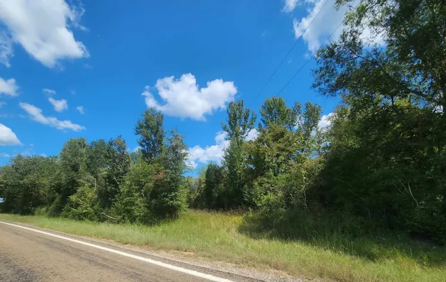 $199,000 | 17454 Fm 542, Oakwood, TX 75855