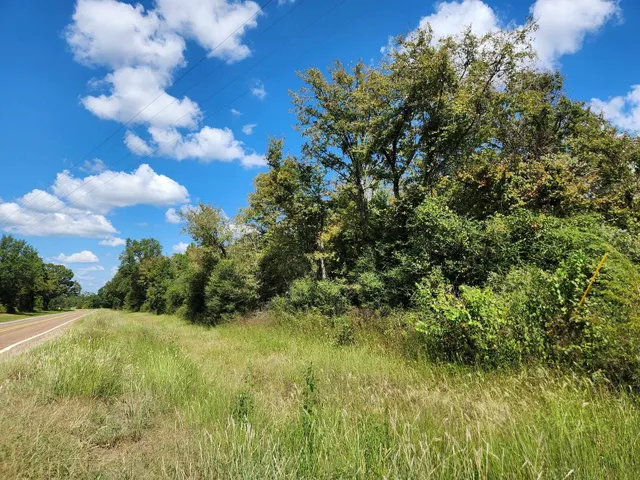 $199,000 | 17454 Fm 542, Oakwood, TX 75855