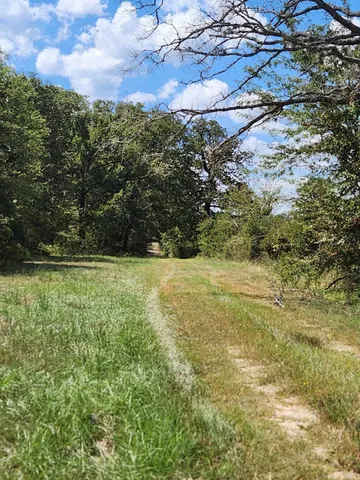 $199,000 | 17454 Fm 542, Oakwood, TX 75855