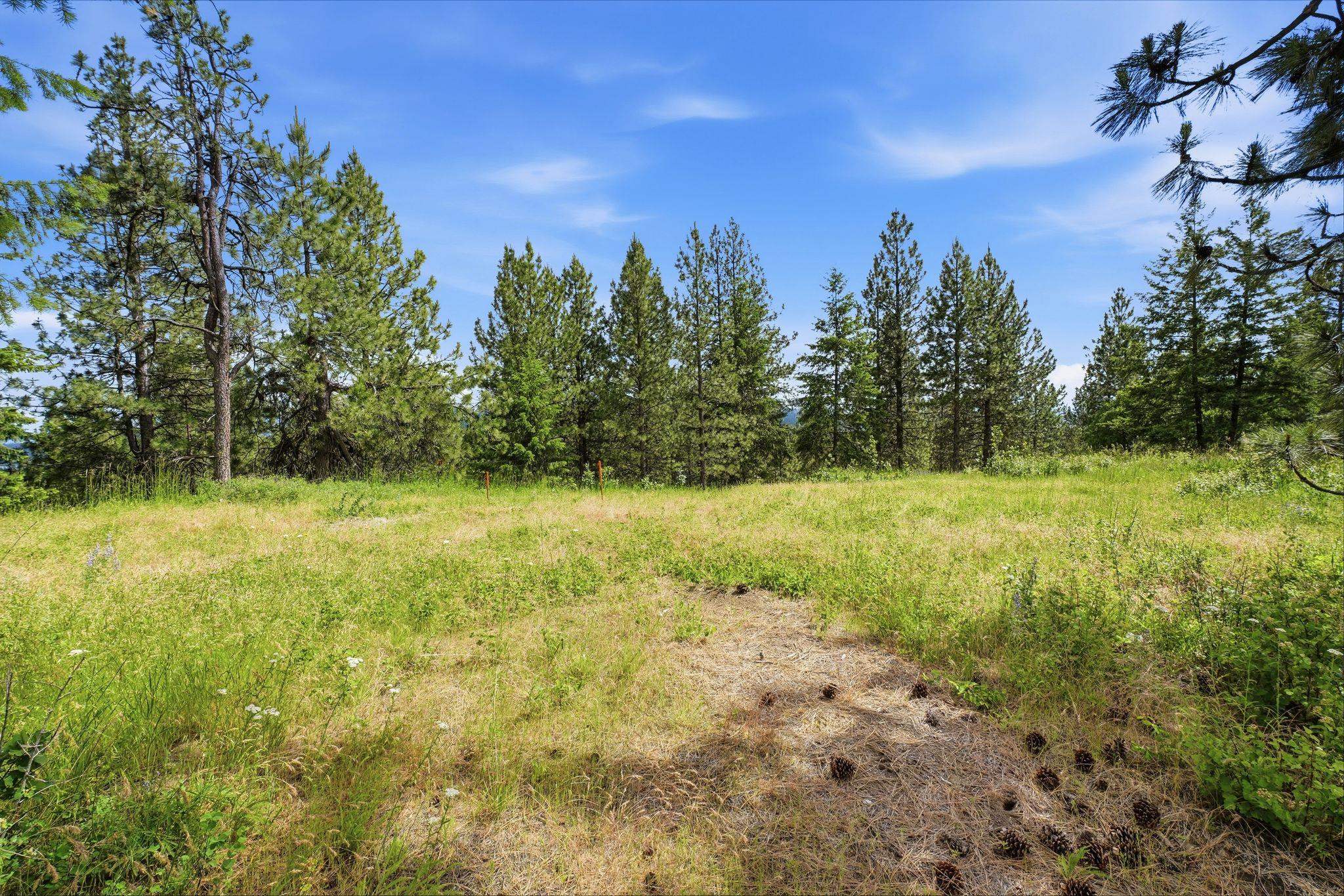 16301 North Scribner Branch Road Spokane, WA 99217 - Photo 18 of 28 Gallery Image 18
