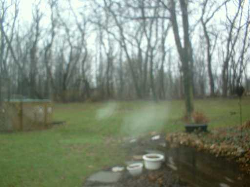 164 Holt Road Aliquippa, PA 15001 - Photo 8 of 8 Yard/Garden.