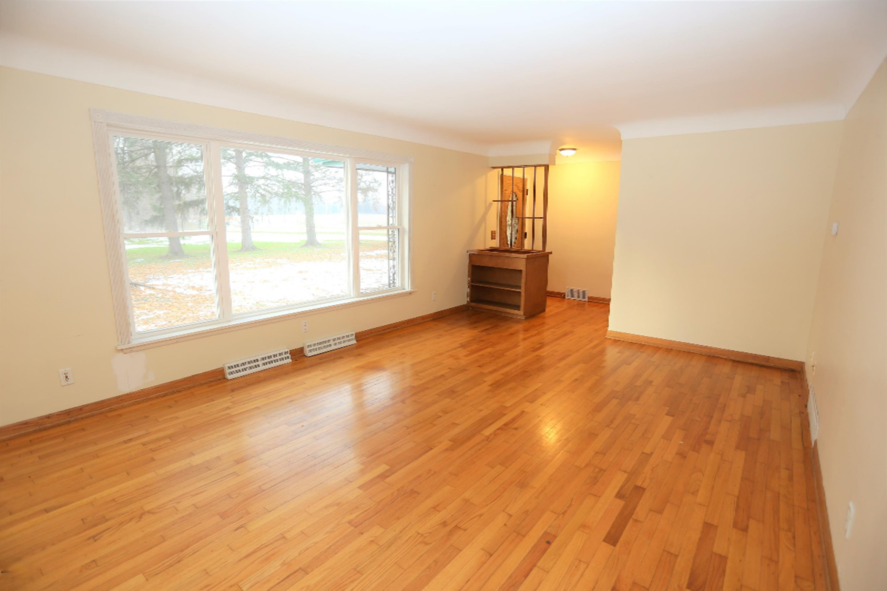 20742 Moorepark Road Three Rivers, MI 49093 - Photo 6 of 35 IMG_5307