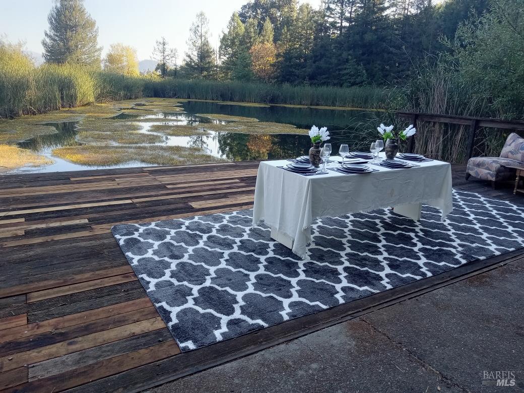 1194 Felta Road Healdsburg, CA 95448 - Photo 11 of 52 a view of a fountain