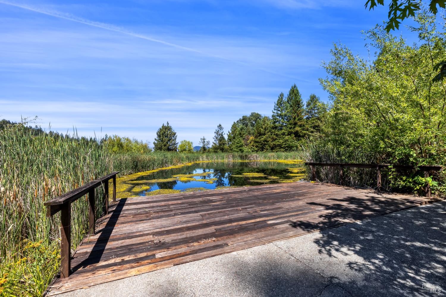 1194 Felta Road Healdsburg, CA 95448 - Photo 12 of 52 a view of a swimming pool with an outdoor seating