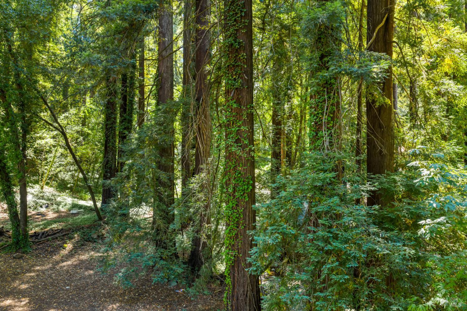 1194 Felta Road Healdsburg, CA 95448 - Photo 36 of 52