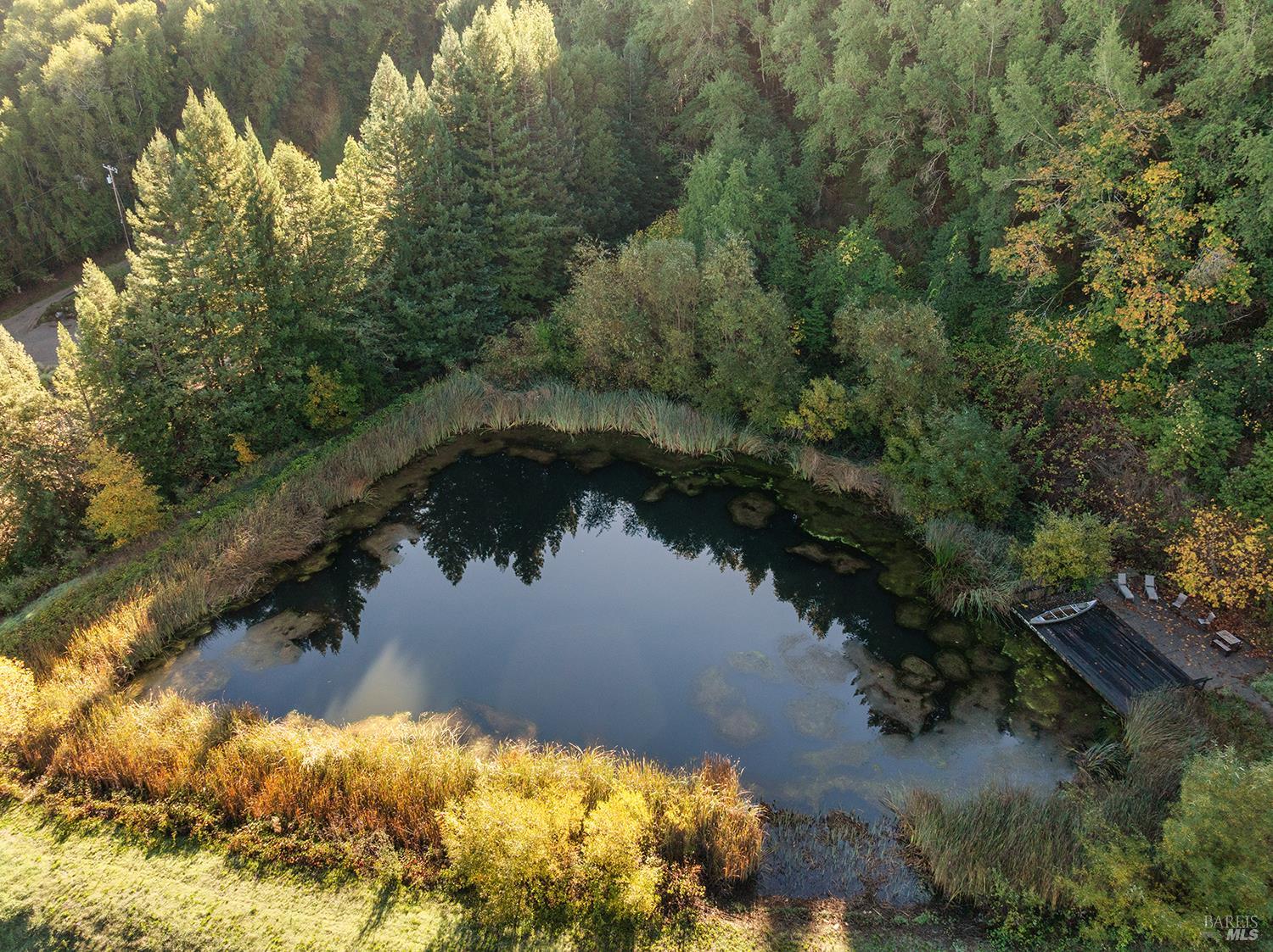 1194 Felta Road Healdsburg, CA 95448 - Photo 39 of 52