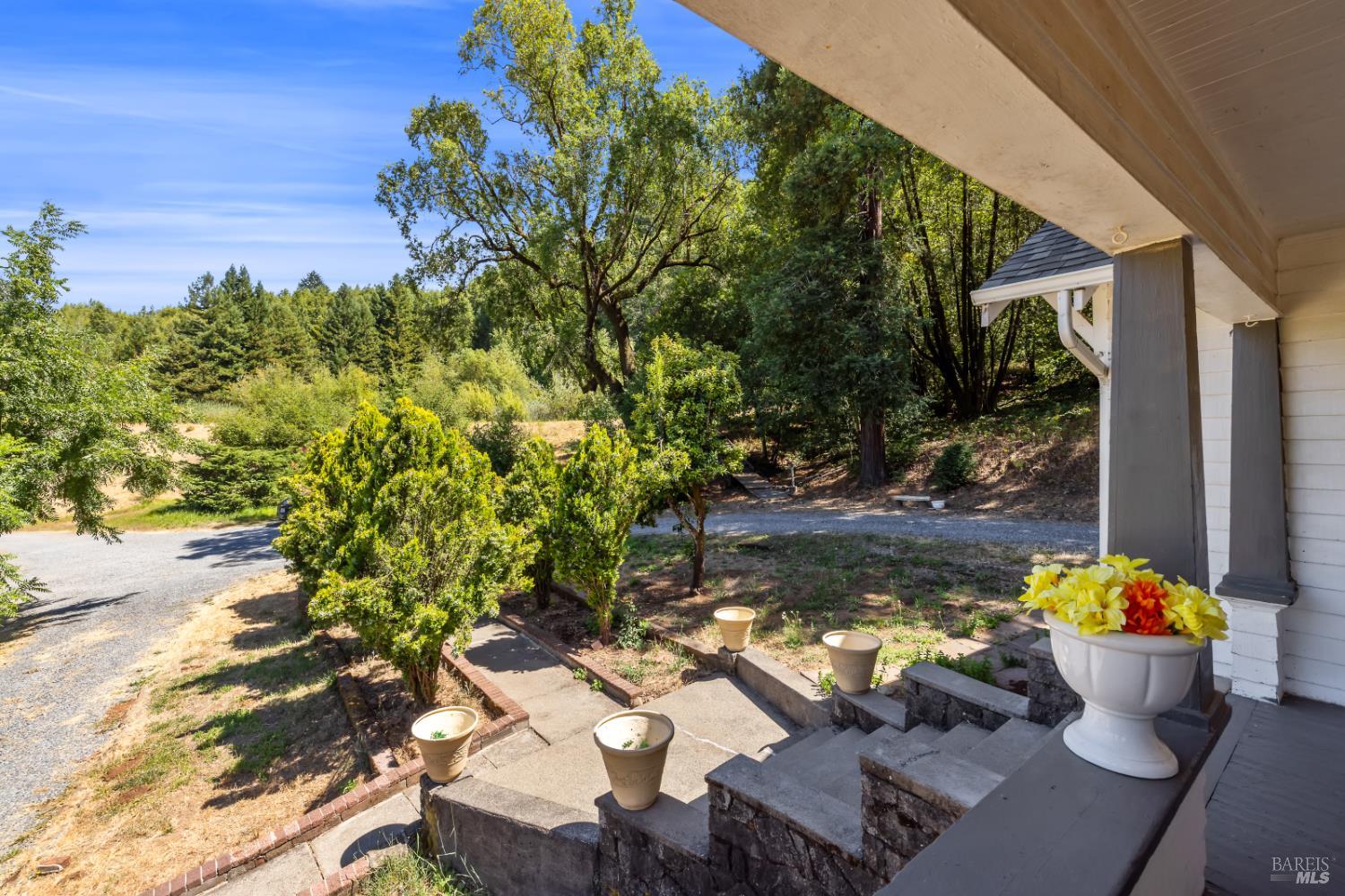 1194 Felta Road Healdsburg, CA 95448 - Photo 41 of 52 a view of a garden with patio