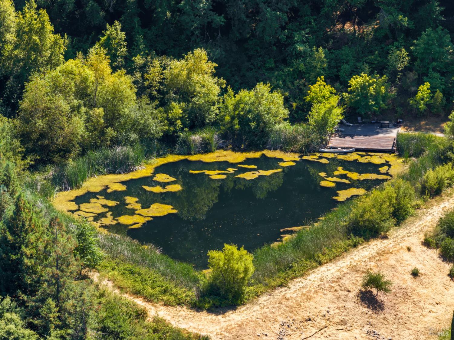 1194 Felta Road Healdsburg, CA 95448 - Photo 42 of 52 a view of a lake with houses