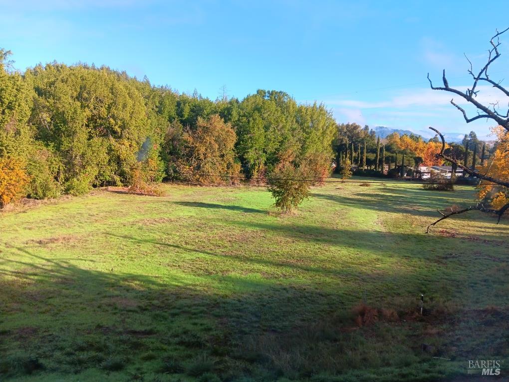 1194 Felta Road Healdsburg, CA 95448 - Photo 47 of 52