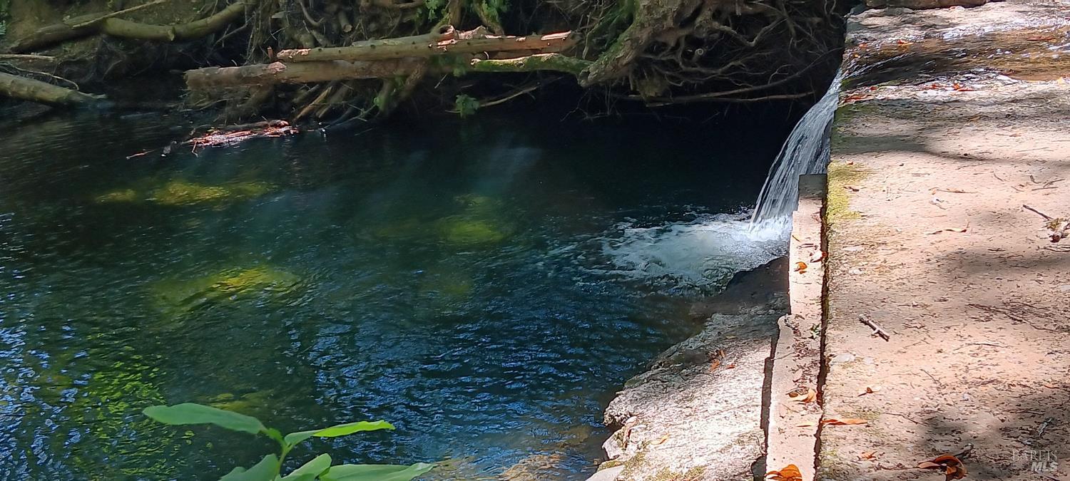 1194 Felta Road Healdsburg, CA 95448 - Photo 49 of 52