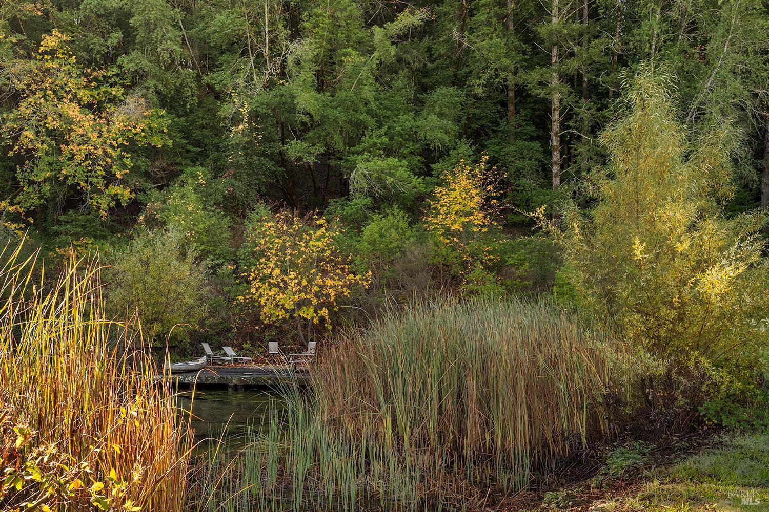 1194 Felta Road Healdsburg, CA 95448 - Photo 5 of 52