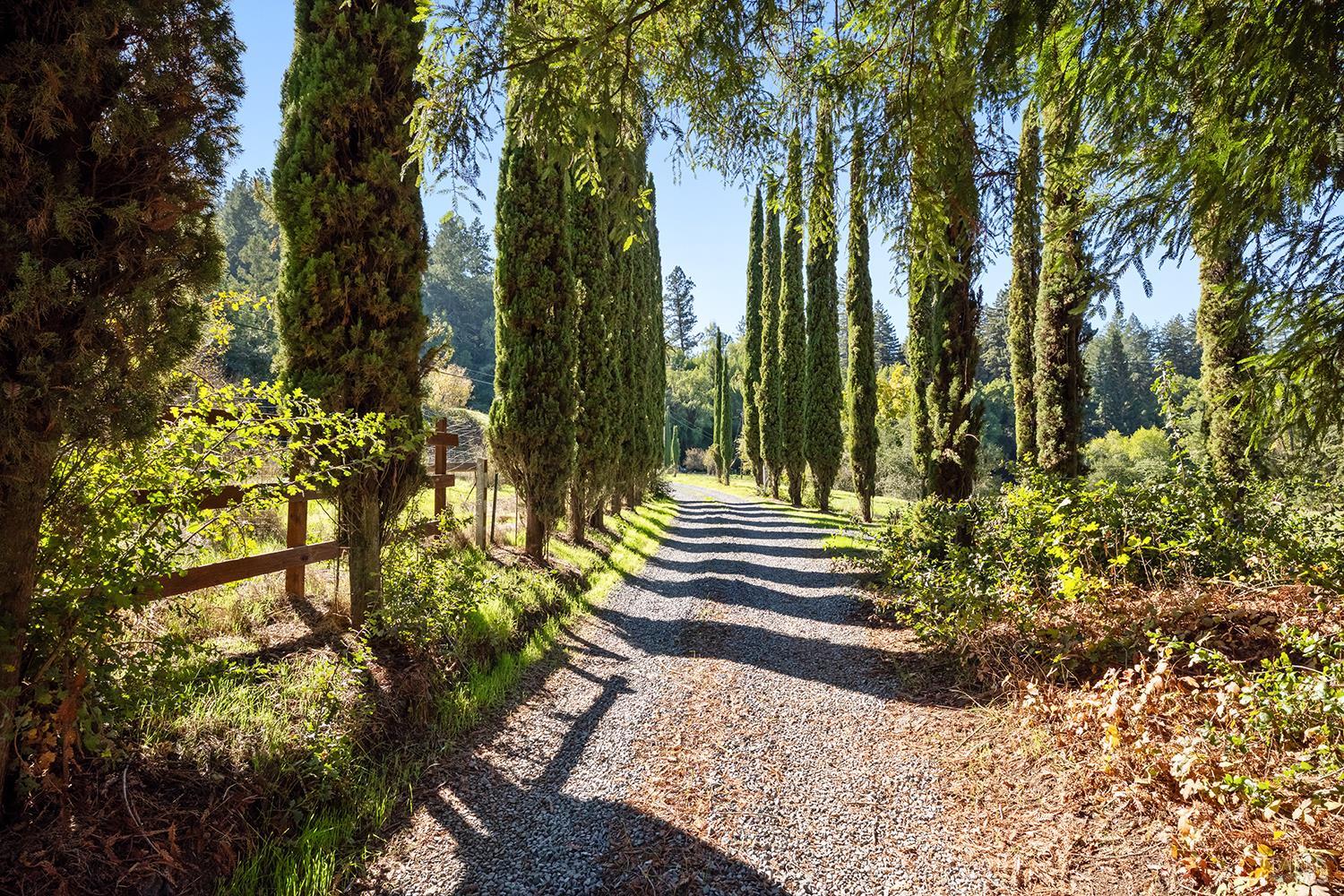 1194 Felta Road Healdsburg, CA 95448 - Photo 8 of 52