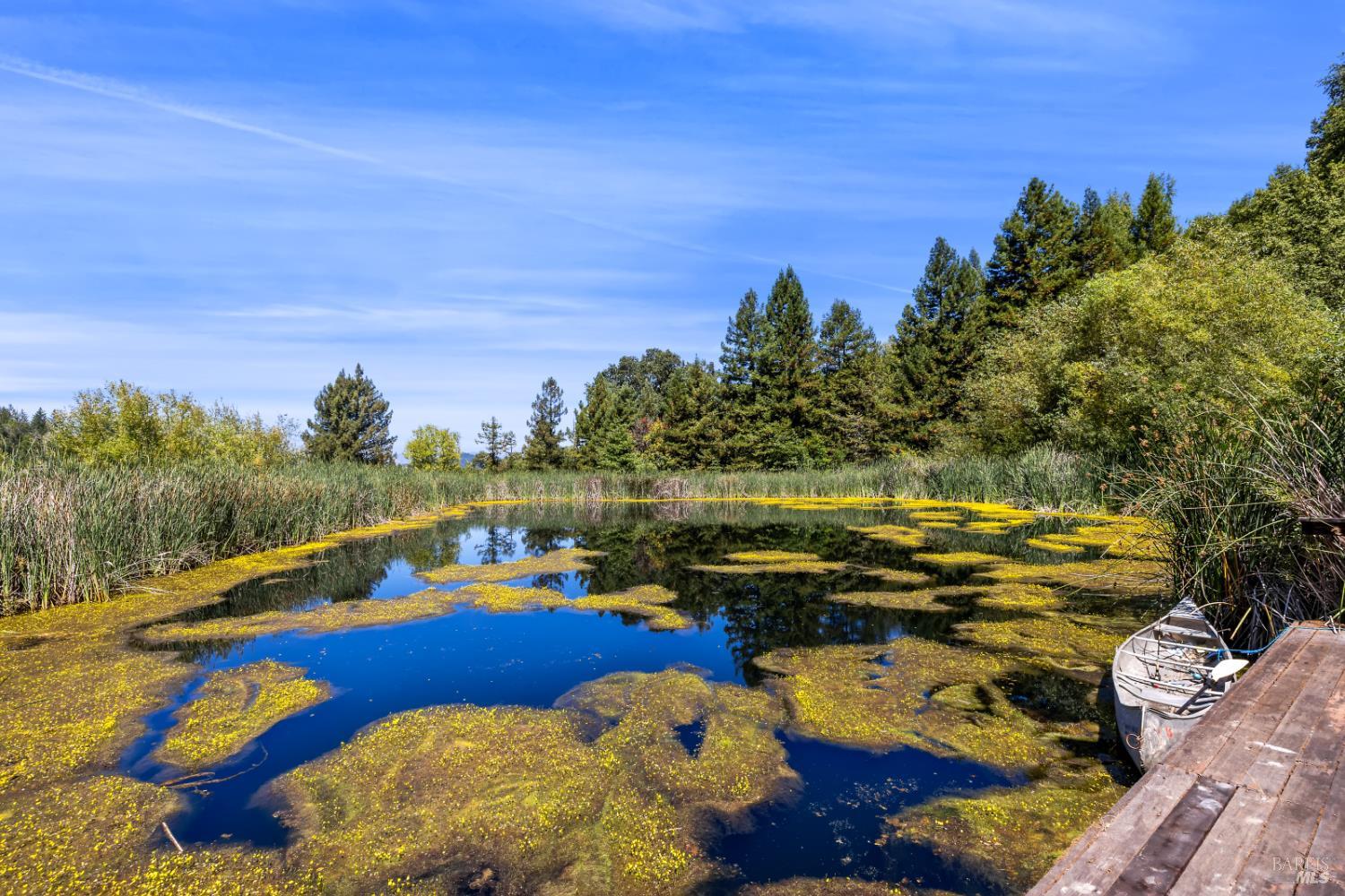 1194 Felta Road Healdsburg, CA 95448 - Photo 10 of 52 a view of swimming pool with outdoor seating