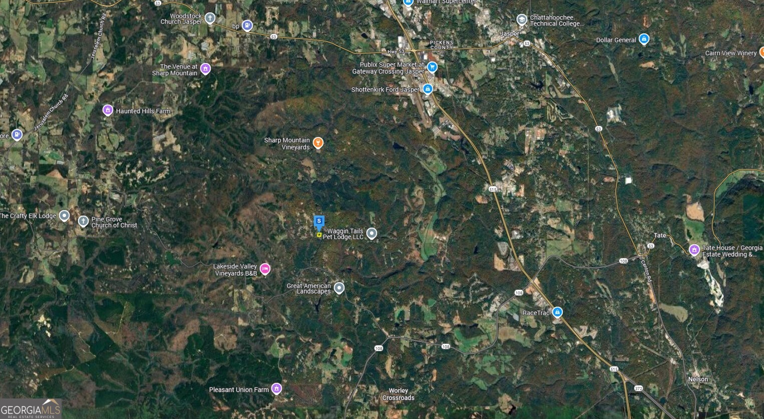 2550 Pettit Road Jasper, GA 30143 - Photo 4 of 6 a view of a tree