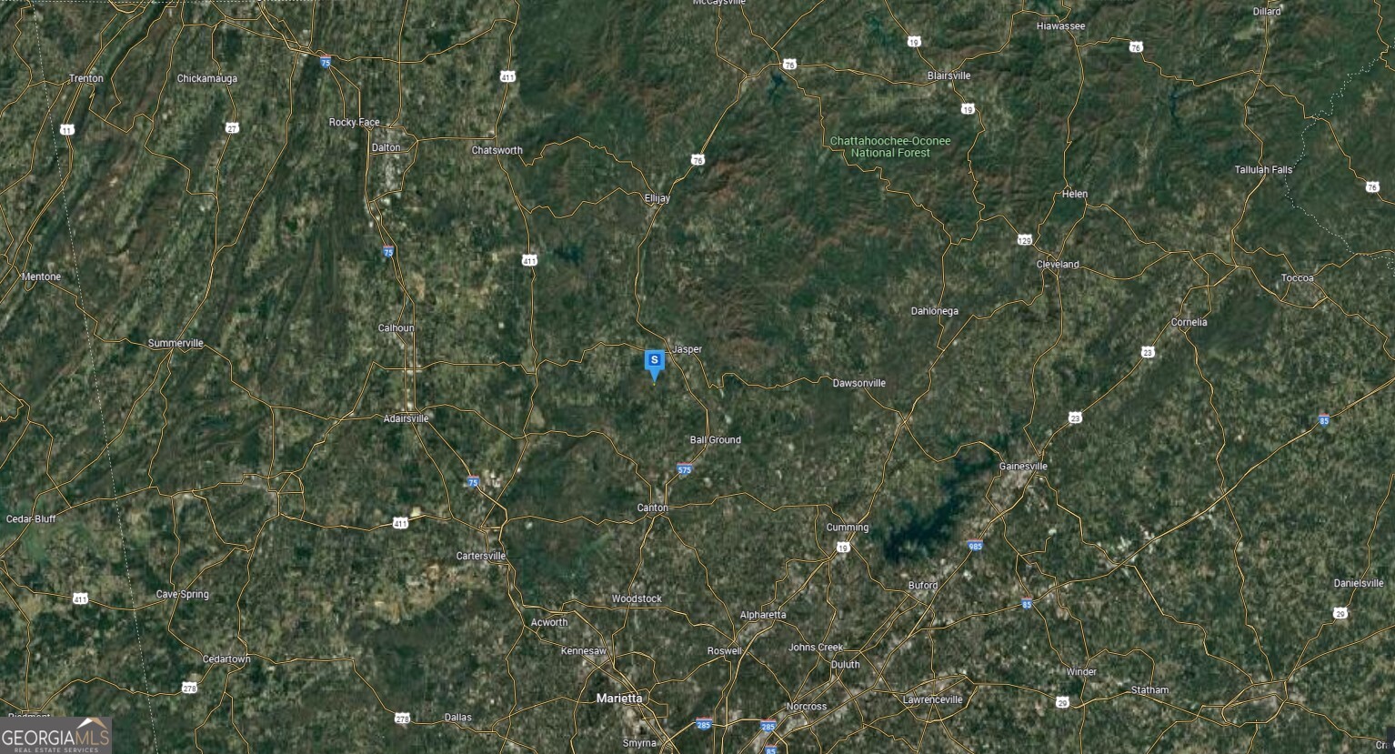 2550 Pettit Road Jasper, GA 30143 - Photo 6 of 6 a close up of a tree