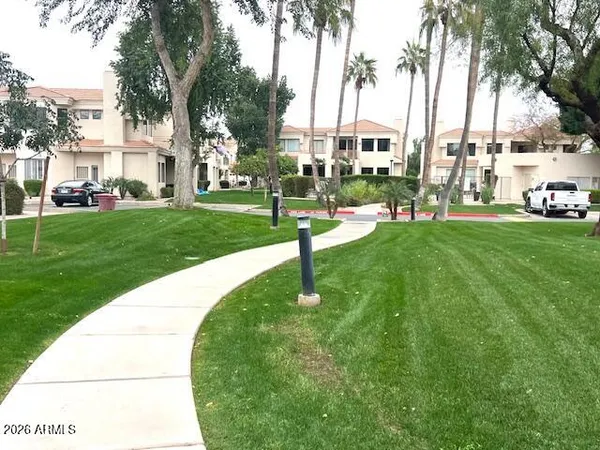 a garden with palm trees