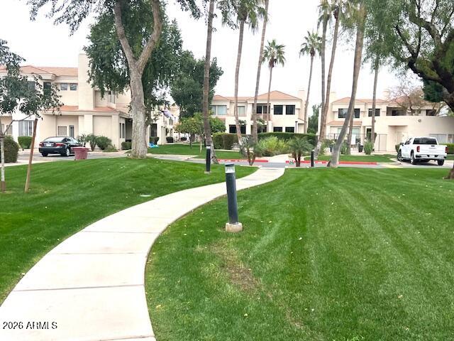 a garden with palm trees