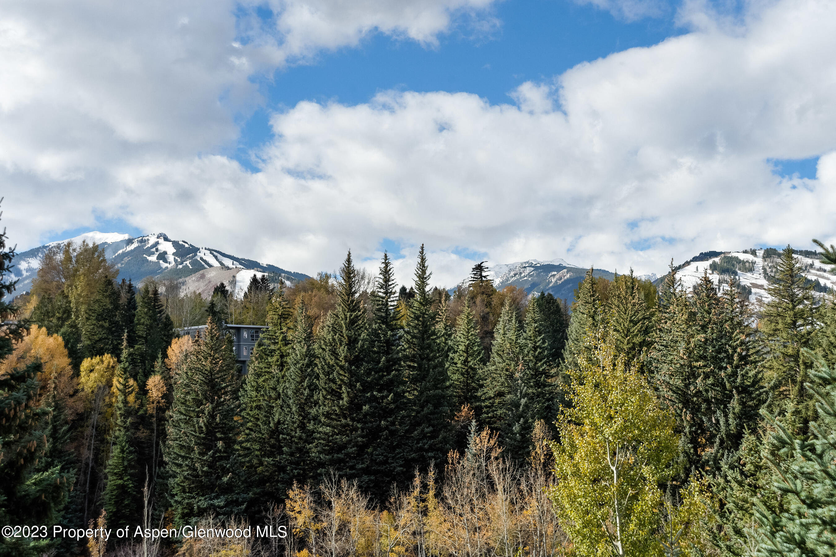 58 Pitkin Way Aspen, CO 81611 - Photo 33 of 33 a view of a city and with green space