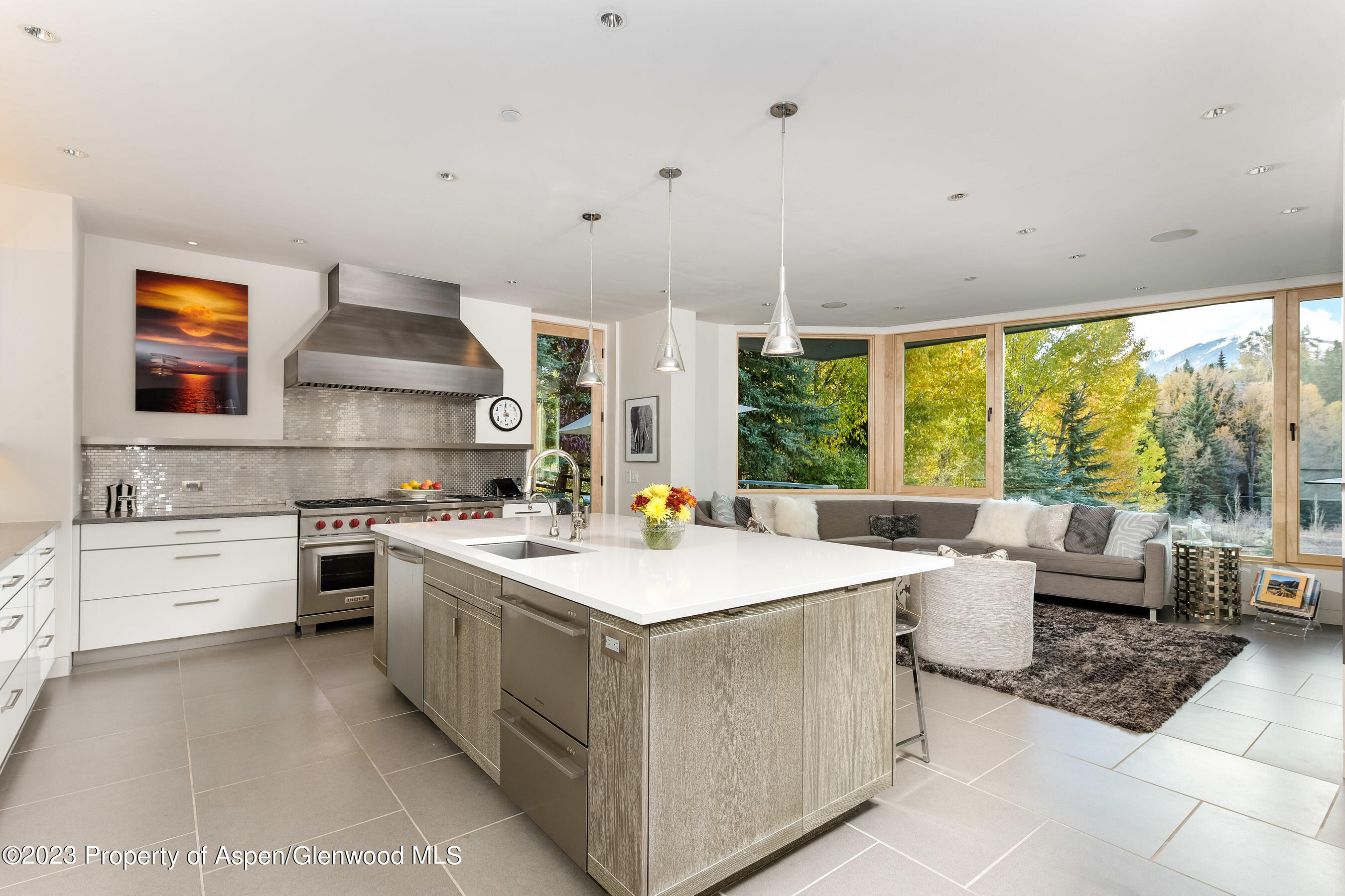 58 Pitkin Way Aspen, CO 81611 - Photo 8 of 33 a kitchen with a stove sink and view living room