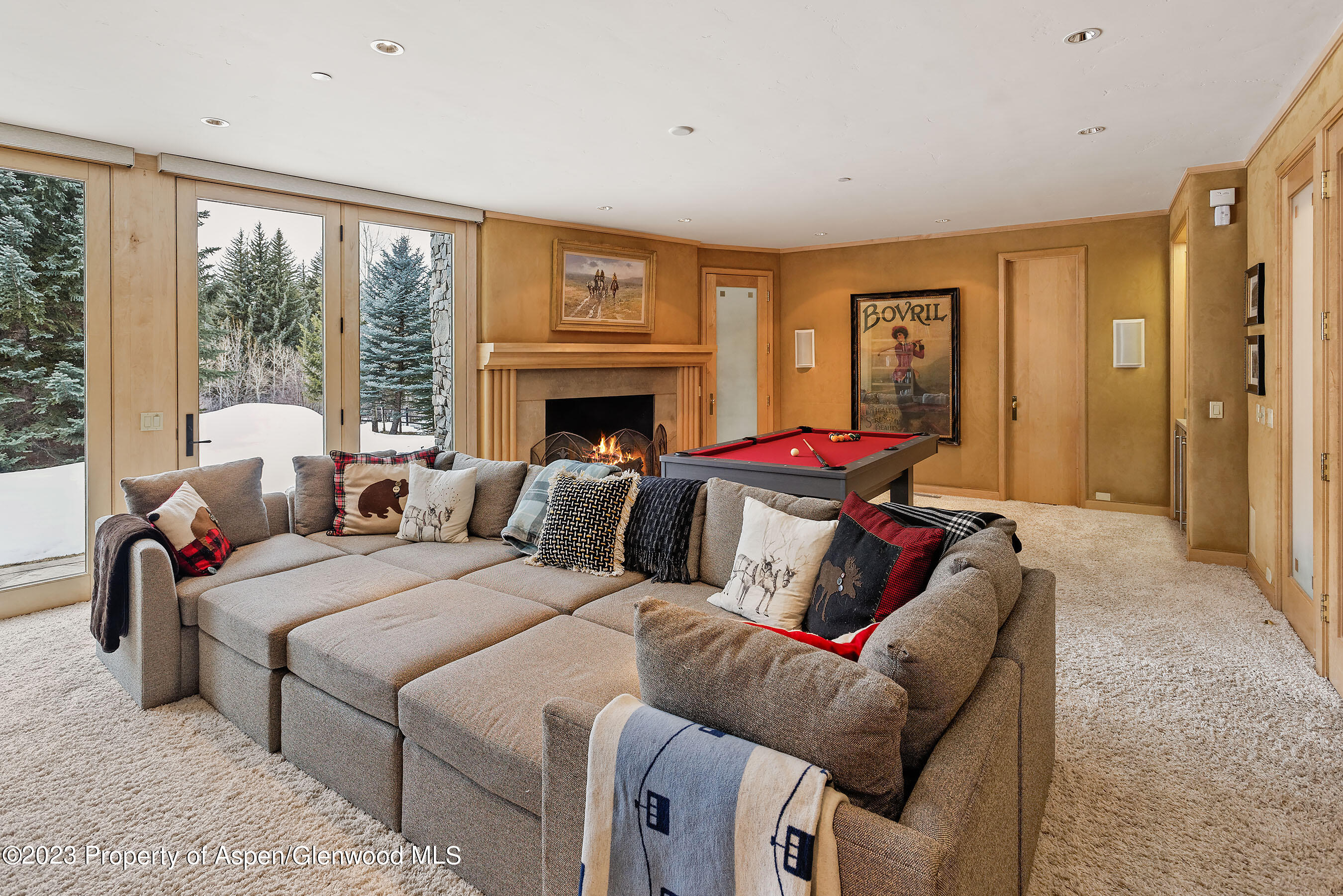 58 Pitkin Way Aspen, CO 81611 - Photo 10 of 33 a living room with furniture and a fireplace