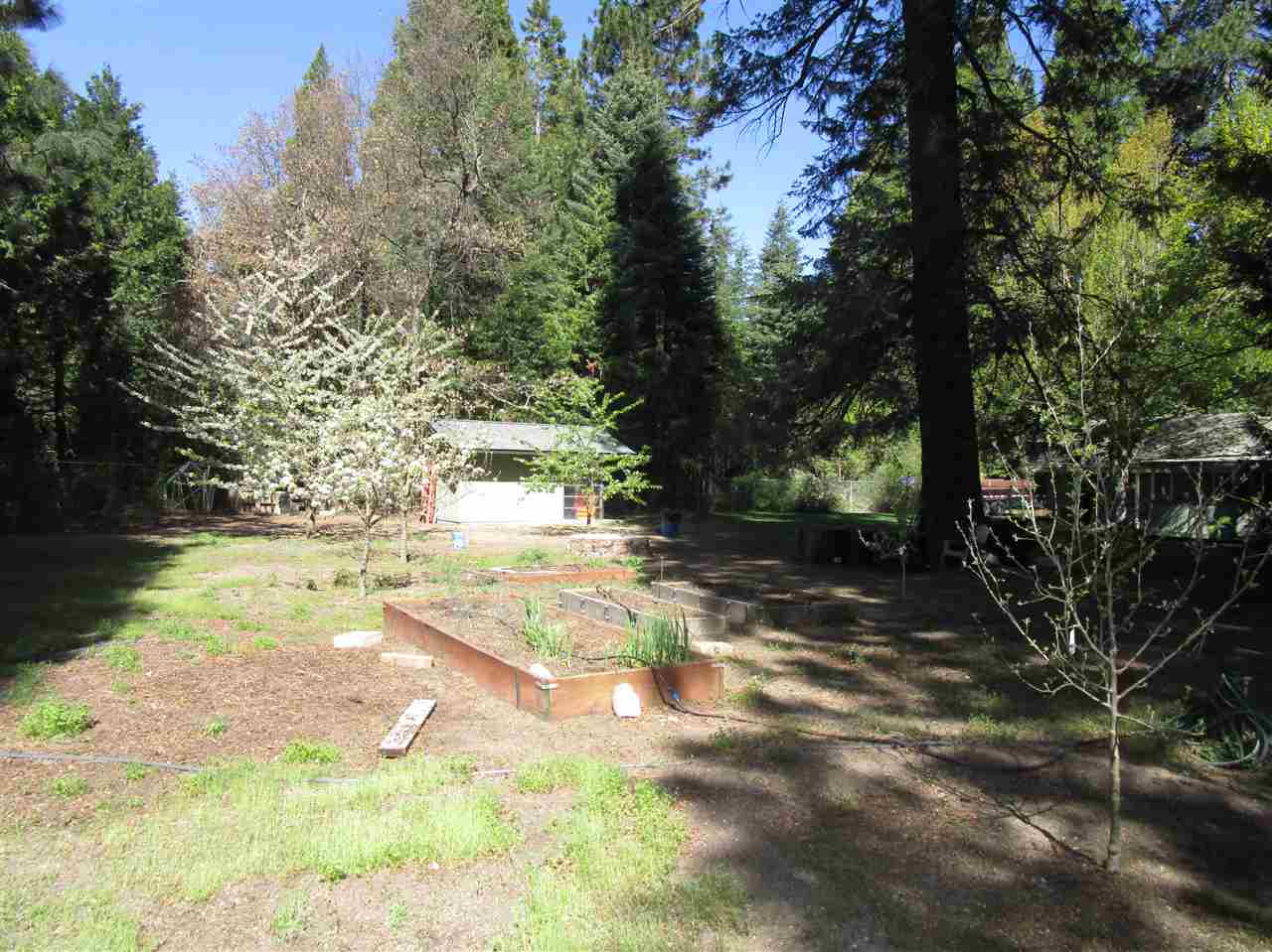 1430 Audubon Road Mount Shasta, CA 96067 - Photo 12 of 20 Gallery Image 12