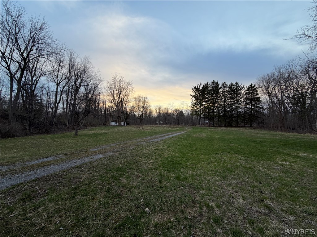 4880 Ransom Road Clarence, NY 14031 - Photo 7 of 15