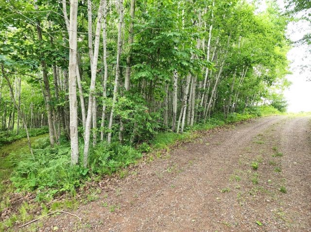 6565 Lynch Bridge Road Siren, WI 54872 - Photo 57 of 60