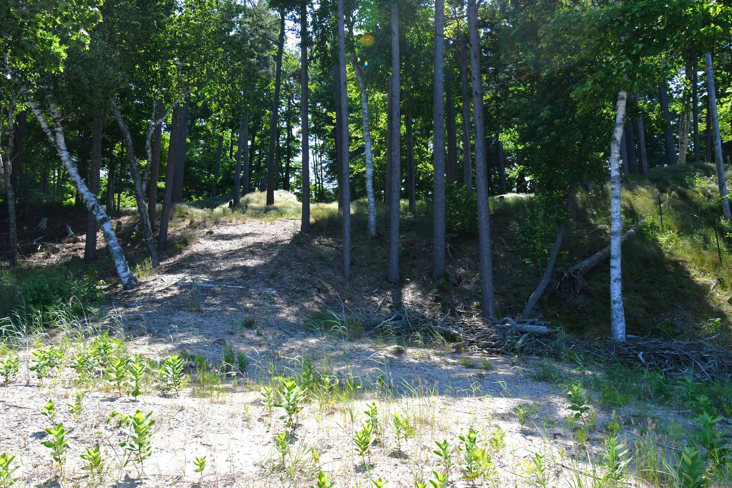 0 Mt McSauba Road Charlevoix, MI 49720 - Photo 31 of 33